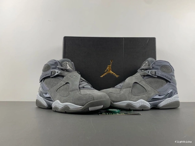 Retro Jordan 8 305381-014 Grey Cool 1016